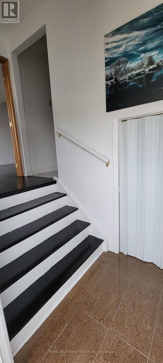 Main & Lower - 145 Bruce Beer Drive, Brampton, Ontario  L6V 3J2 - Photo 8 - W12705510