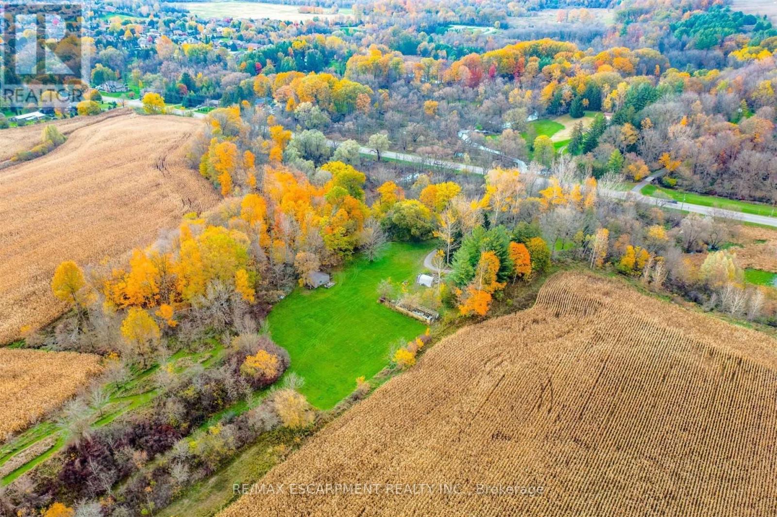 183 Main Street S, Brant, Ontario  N0E 1N0 - Photo 5 - X12697322