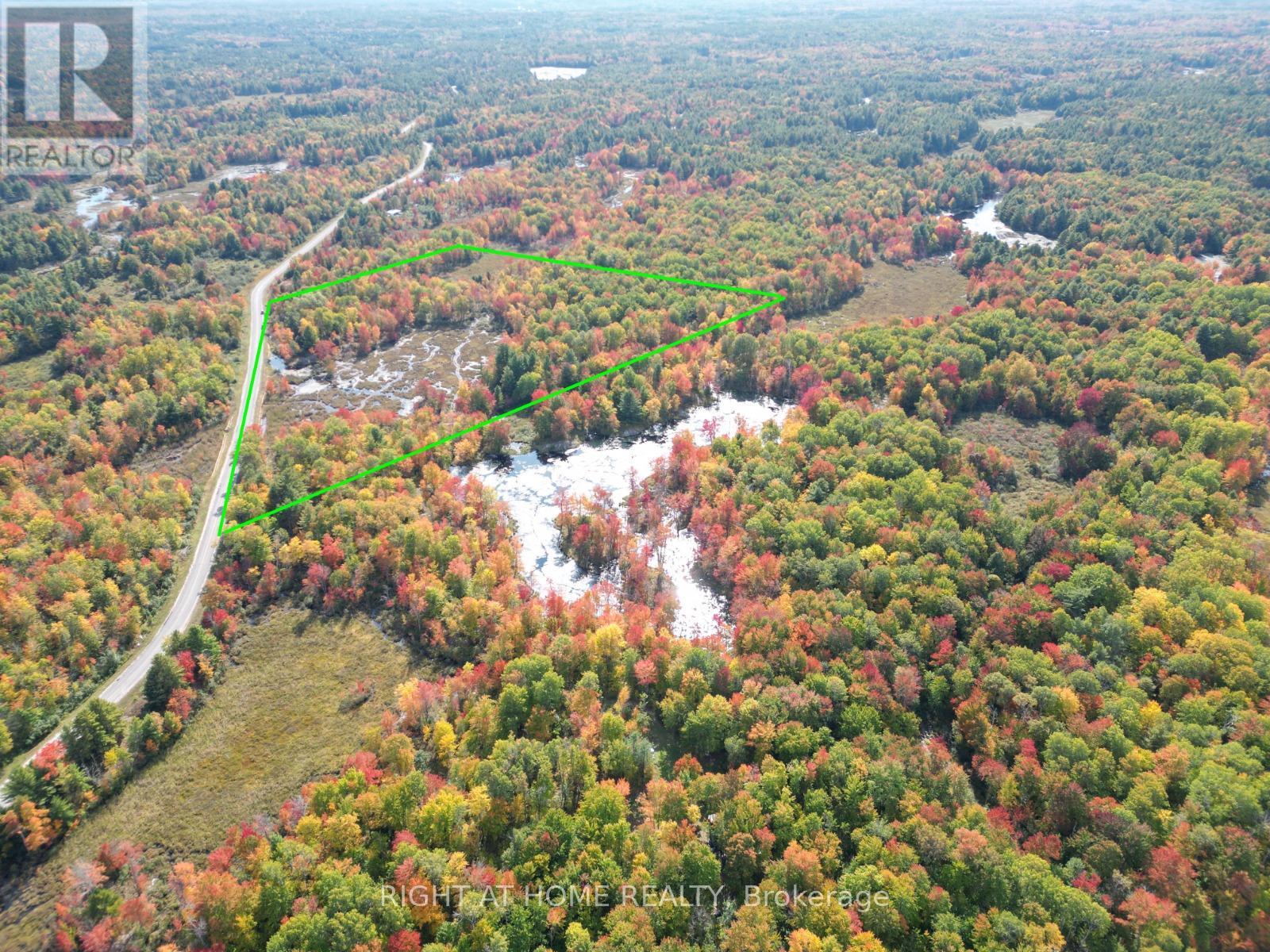 1071 Flinton Road, Tweed, Ontario  K0K 3J0 - Photo 13 - X12705646