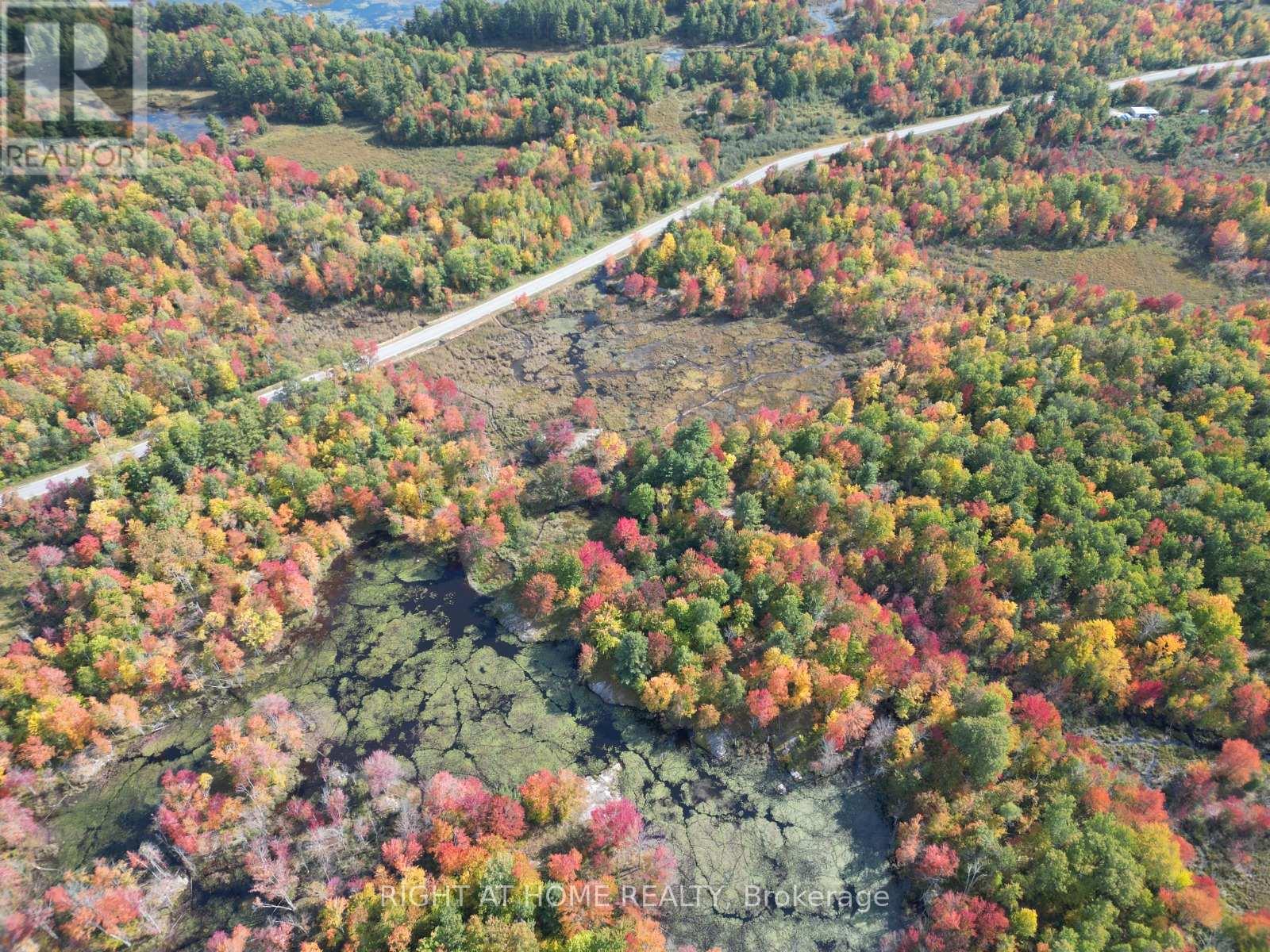 1071 Flinton Road, Tweed, Ontario  K0K 3J0 - Photo 16 - X12705646