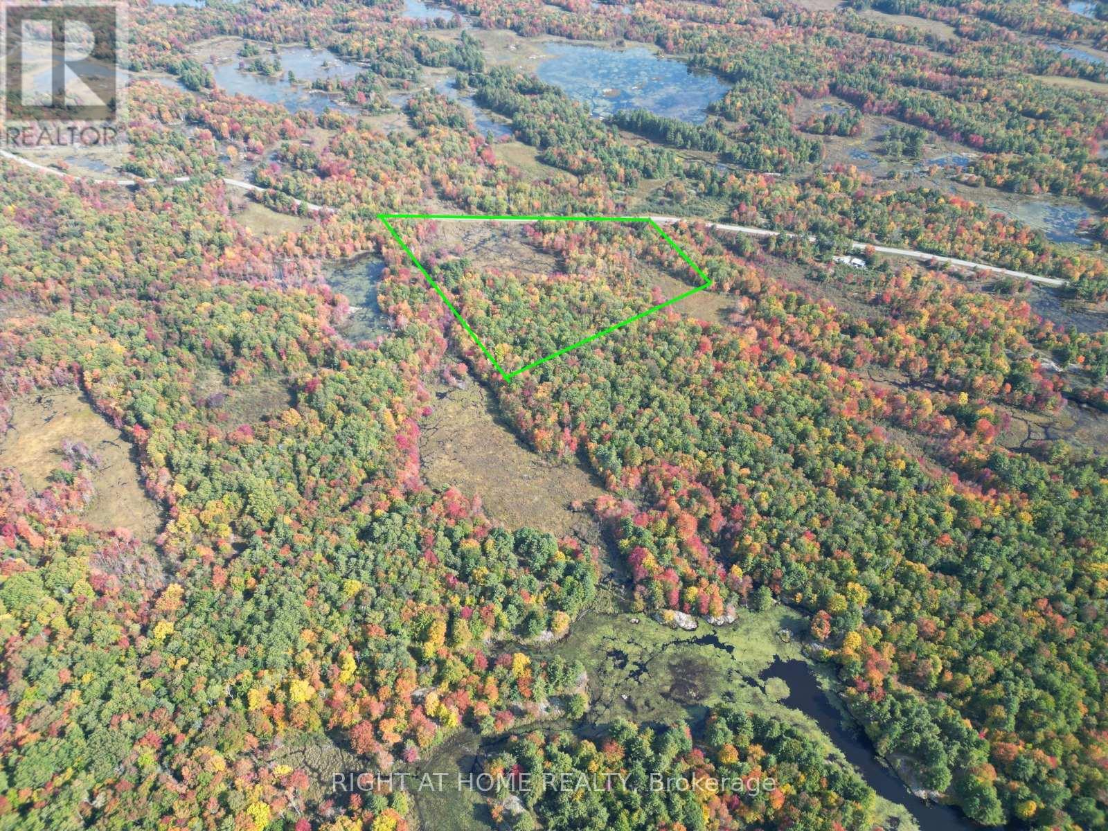 1071 Flinton Road, Tweed, Ontario  K0K 3J0 - Photo 18 - X12705646