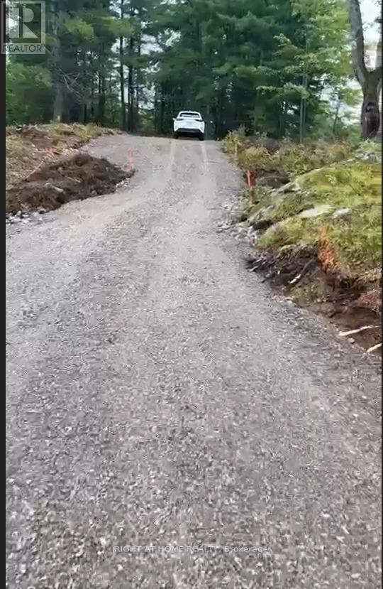 1071 Flinton Road, Tweed, Ontario  K0K 3J0 - Photo 19 - X12705646