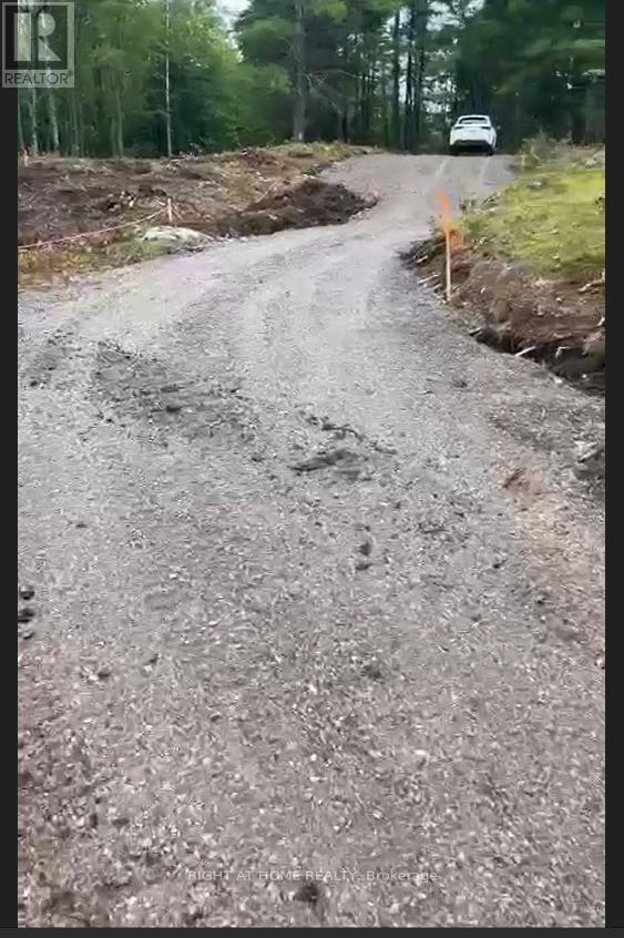 1071 Flinton Road, Tweed, Ontario  K0K 3J0 - Photo 20 - X12705646