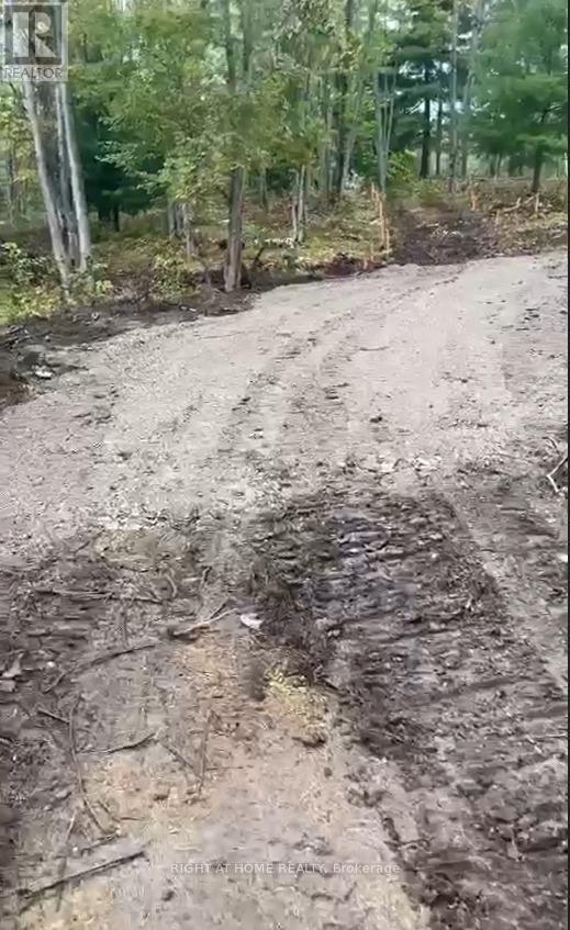 1071 Flinton Road, Tweed, Ontario  K0K 3J0 - Photo 21 - X12705646