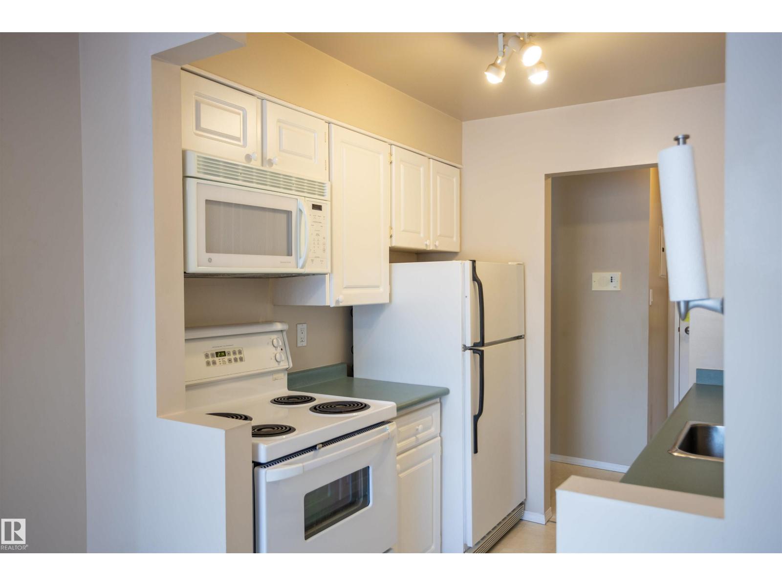 #207 11465 41 Av Nw, Edmonton, Alberta  T6J 0T9 - Photo 11 - E4469416