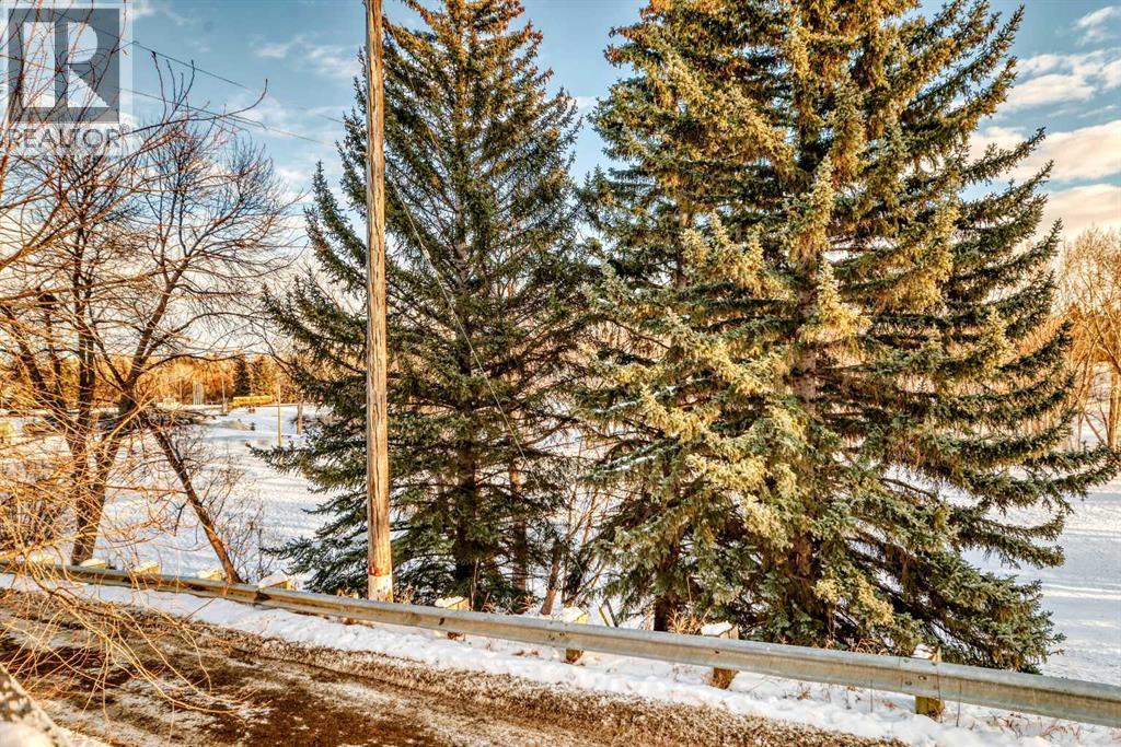 67 Rosery Drive Nw, Calgary, Alberta  T2K 1L4 - Photo 46 - A2279716