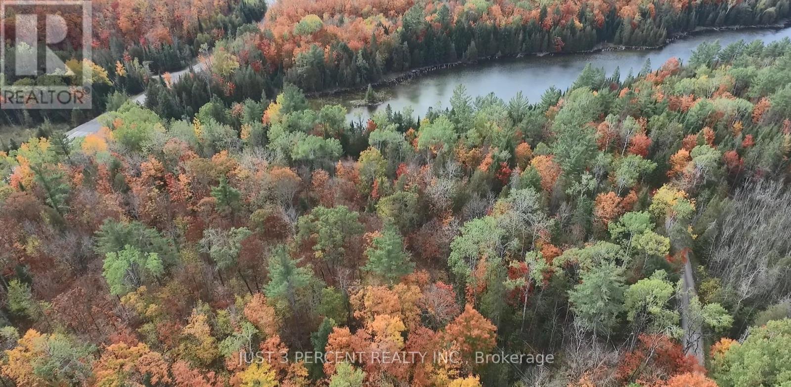 1492 County Rd 620 Road, North Kawartha, Ontario  K0L 1A0 - Photo 42 - X12551860