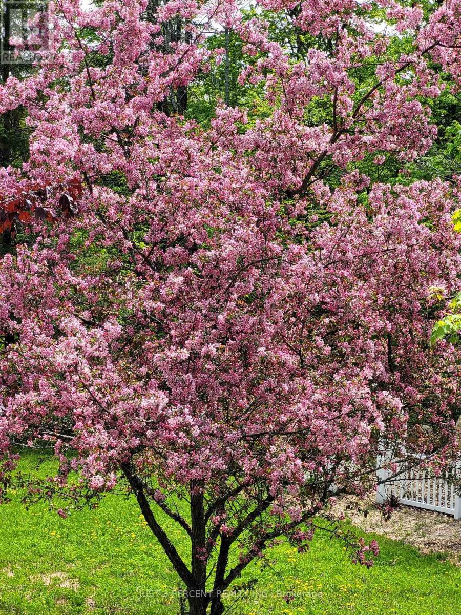 1492 County Rd 620 Road, North Kawartha, Ontario  K0L 1A0 - Photo 49 - X12551860