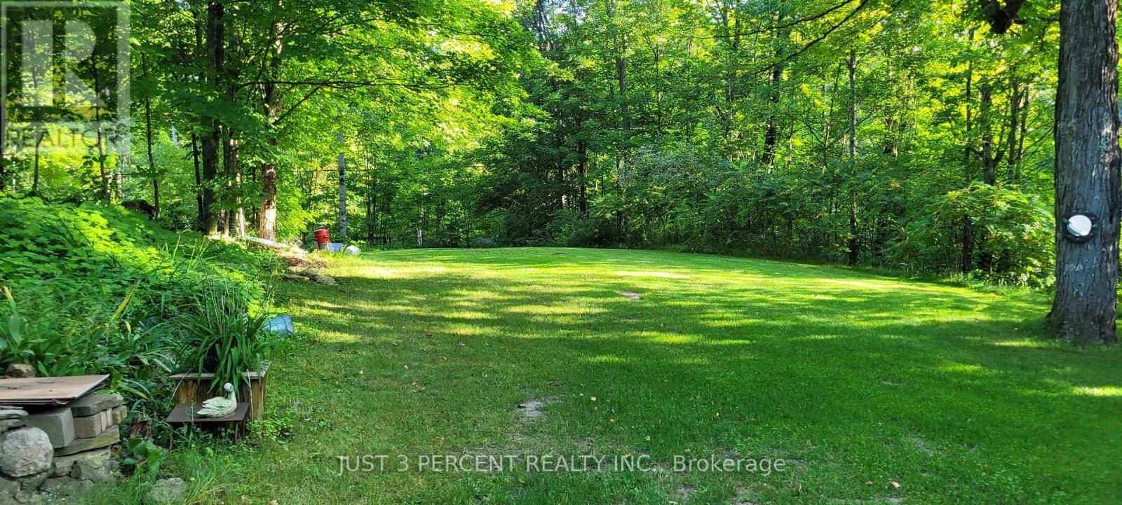 1492 County Rd 620 Road, North Kawartha, Ontario  K0L 1A0 - Photo 50 - X12551860