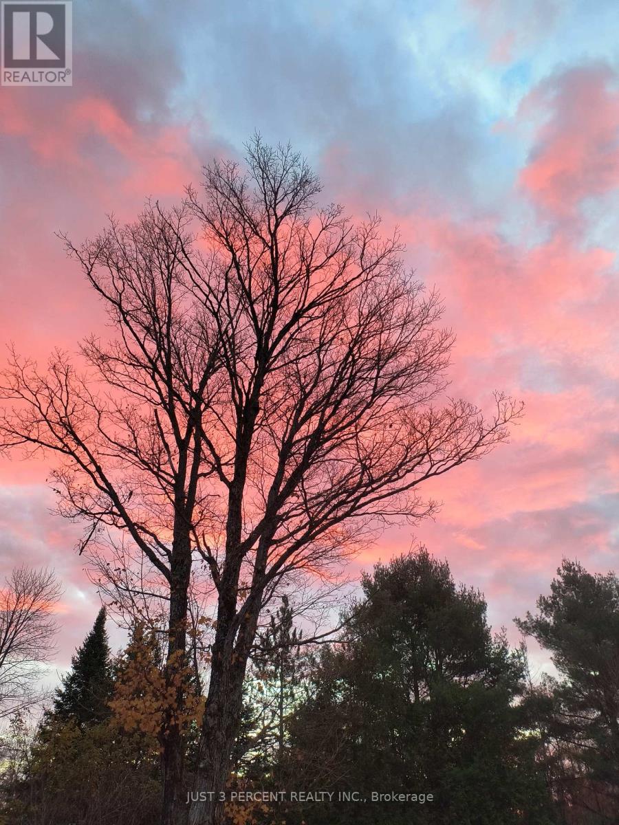 1492 County Rd 620 Road, North Kawartha, Ontario  K0L 1A0 - Photo 46 - X12551860