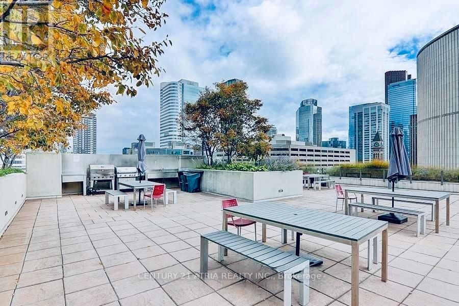 208 - 111 Elizabeth Street, Toronto, Ontario  M5G 1P7 - Photo 9 - C12705938