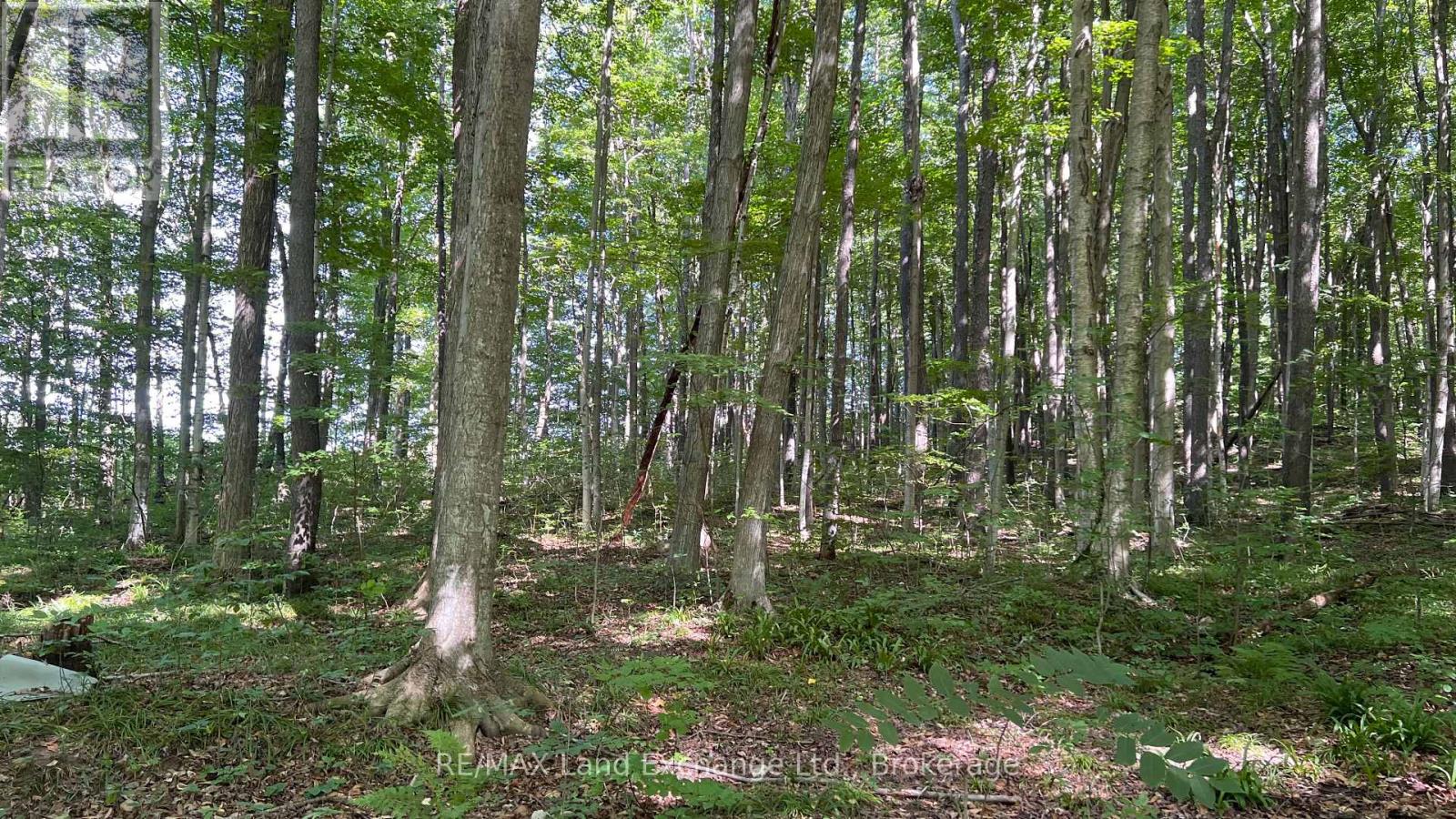 36718 River Road, Ashfield-Colborne-Wawanosh (Ashfield Twp), Ontario  N0G 2H0 - Photo 3 - X12352242