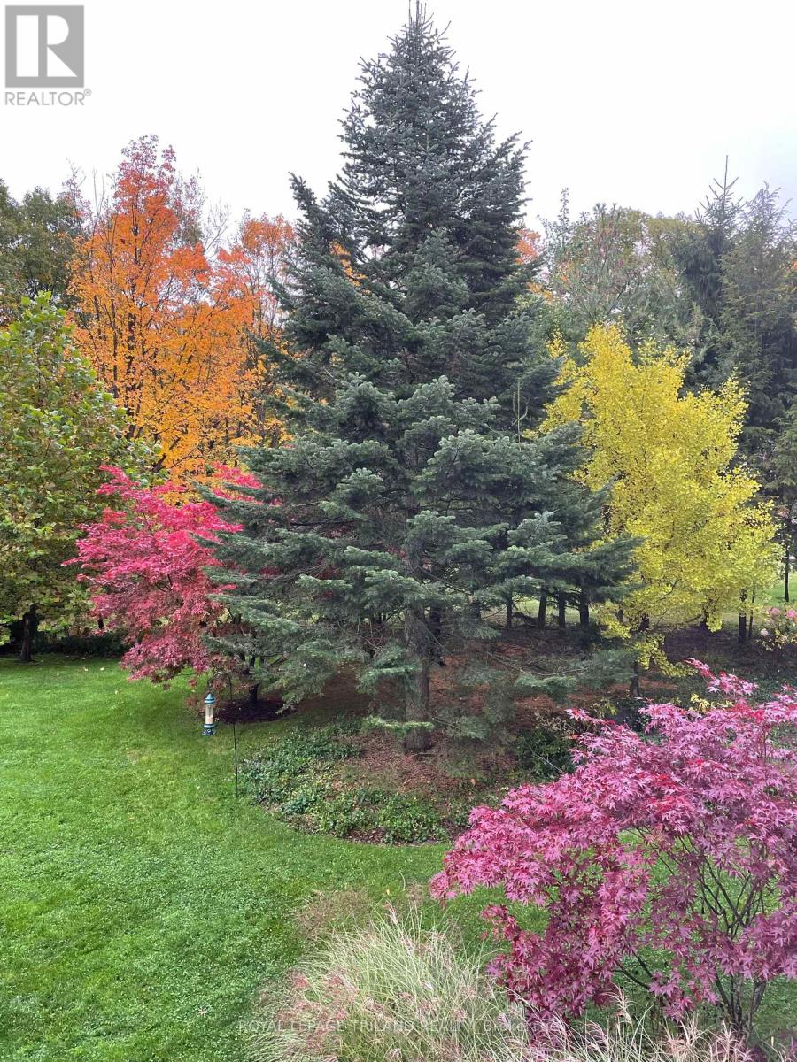 9389 Elviage Drive, London South, Ontario  N6K 4R8 - Photo 46 - X12703182