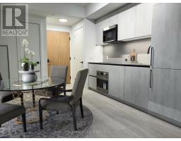 217 - 35 PARLIAMENT STREET, Toronto, Ontario