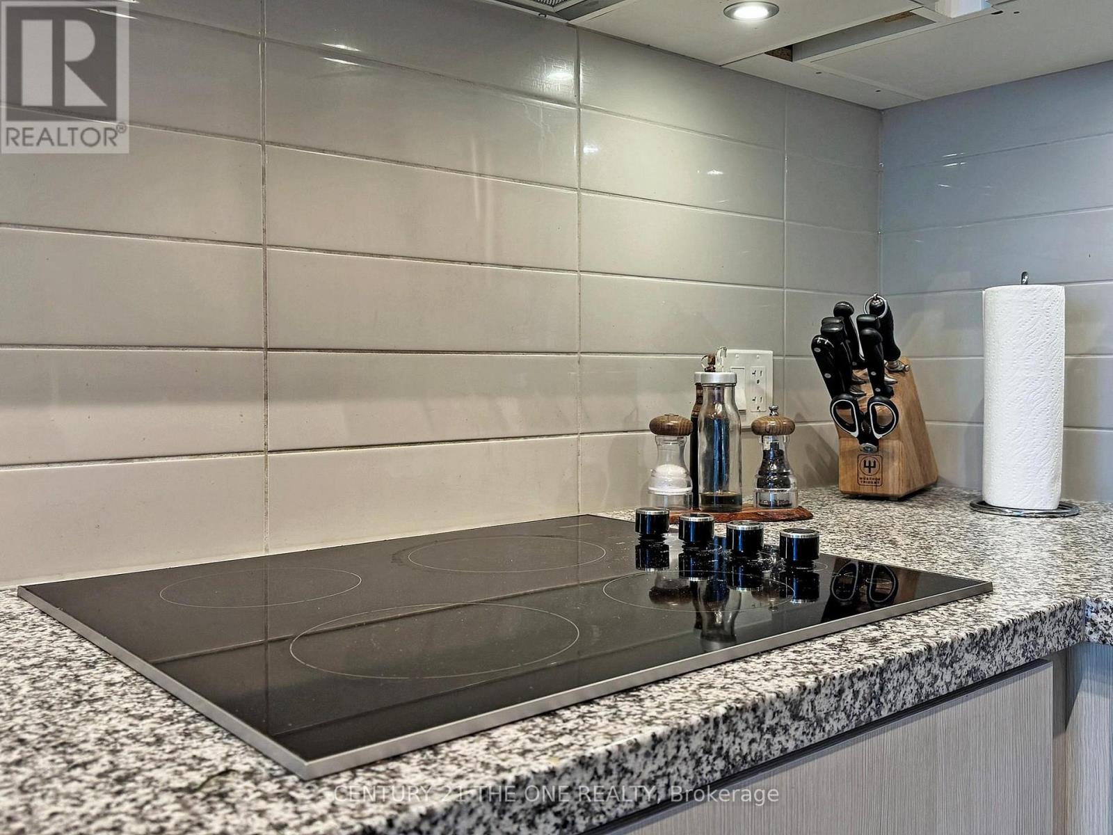 3301 - 115 Blue Jays Way, Toronto, Ontario  M5V 0N4 - Photo 22 - C12706038