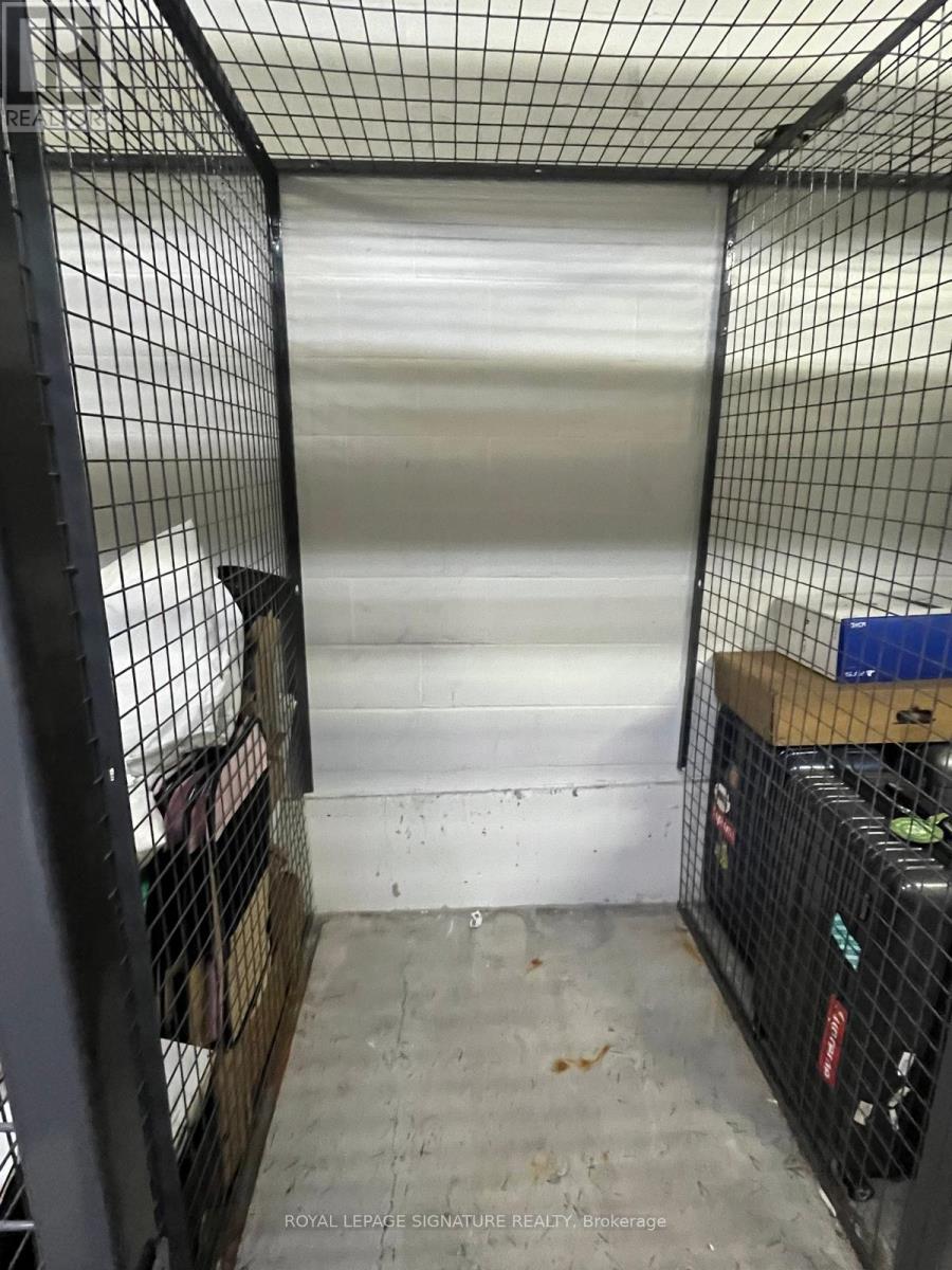 720 - 4k Spadina Avenue, Toronto, Ontario  M5V 3Y9 - Photo 23 - C12700702