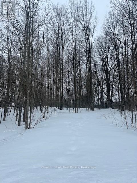 154-BOWLES-BLUFF-ROAD, Grey-Highlands