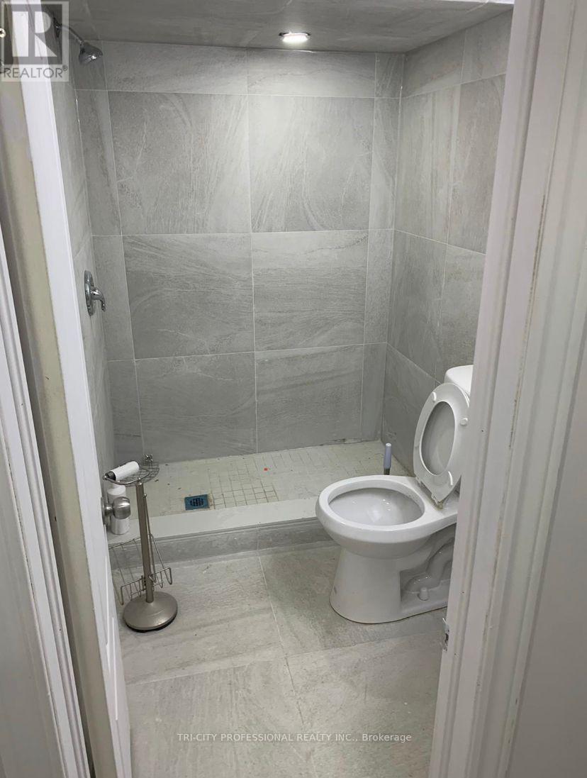 Basement - 2 Nobel Place, Brampton, Ontario  L6S 4X6 - Photo 7 - W12706262