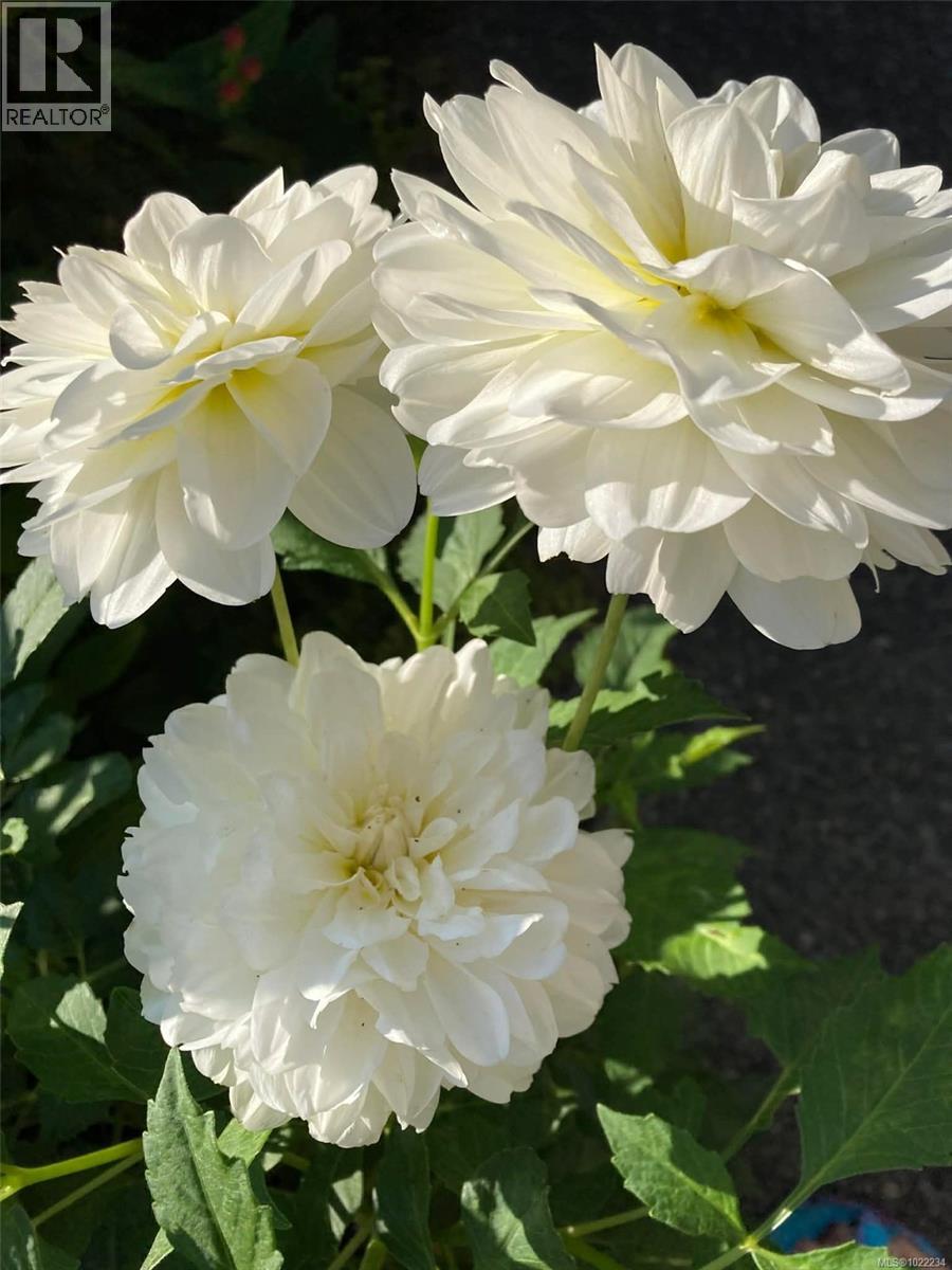 5320 Cascara Dr, Nanaimo, British Columbia  V9T 0E3 - Photo 51 - 1022234