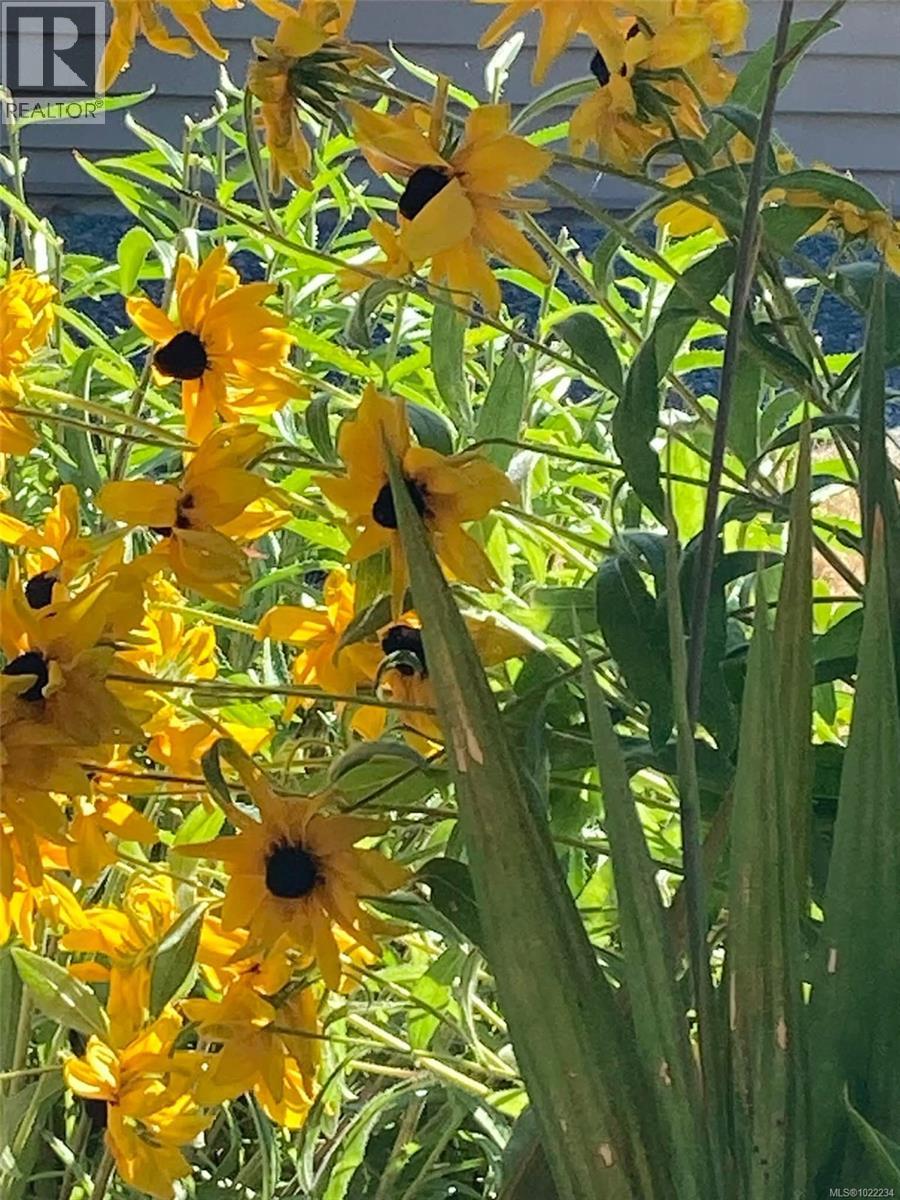 5320 Cascara Dr, Nanaimo, British Columbia  V9T 0E3 - Photo 49 - 1022234