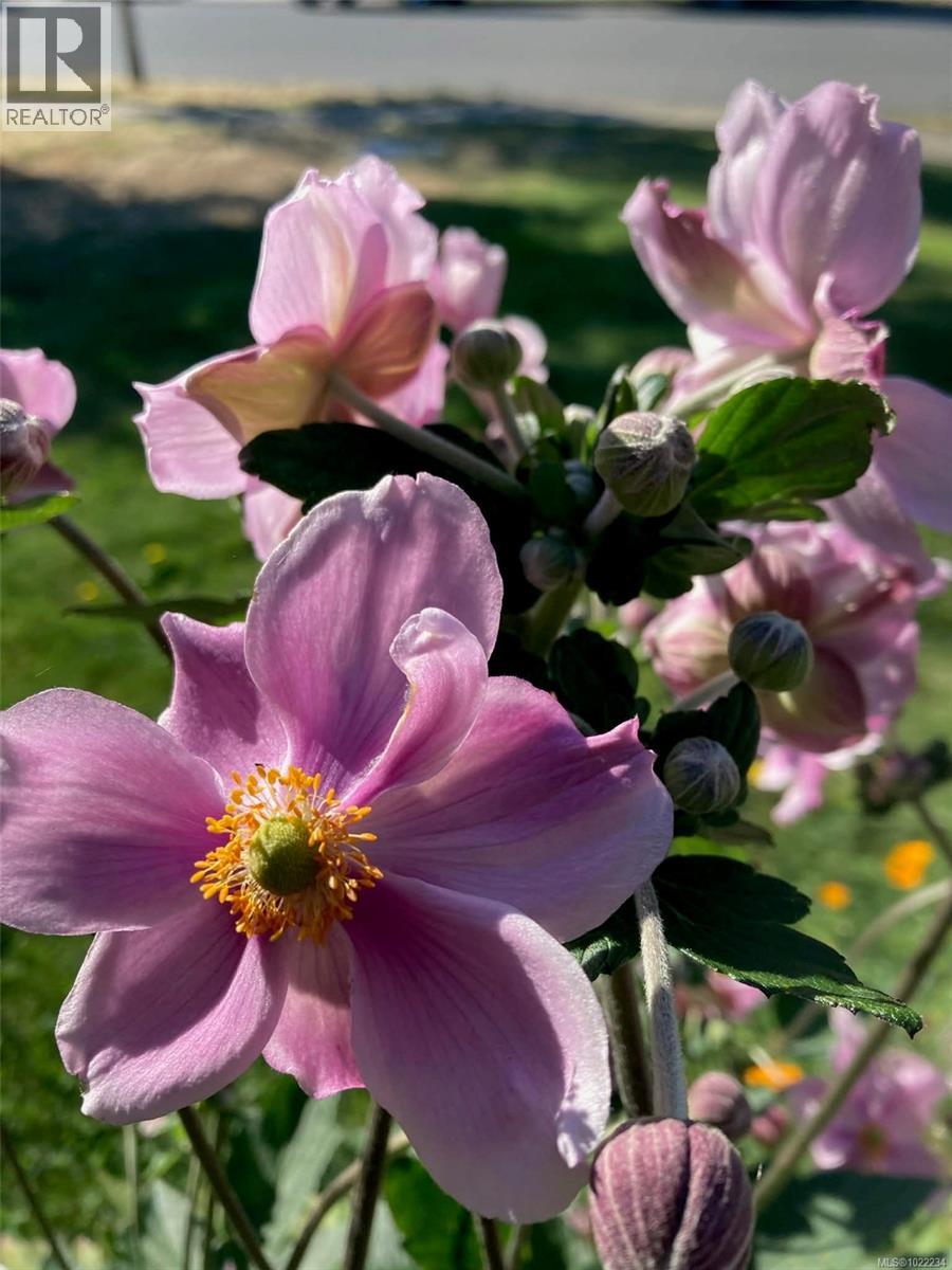 5320 Cascara Dr, Nanaimo, British Columbia  V9T 0E3 - Photo 50 - 1022234