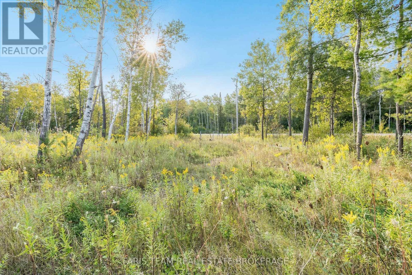 3152 Davis Drive, East Gwillimbury, Ontario  L3Y 4W1 - Photo 4 - N12702584