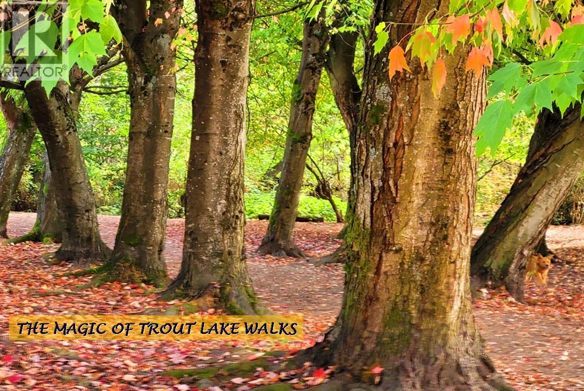 2822 Victoria Drive, Vancouver, British Columbia  V5N 4L6 - Photo 22 - R3080476