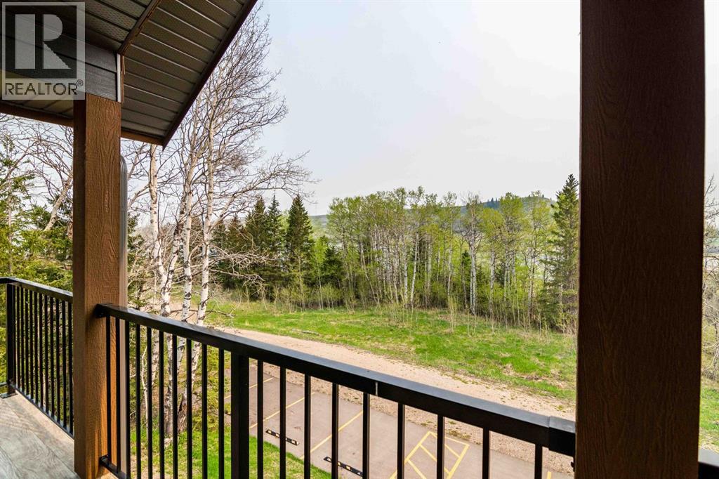 709/710, 401 4 Street, Rural Cypress County, Alberta  T0J 1C0 - Photo 21 - A2189281