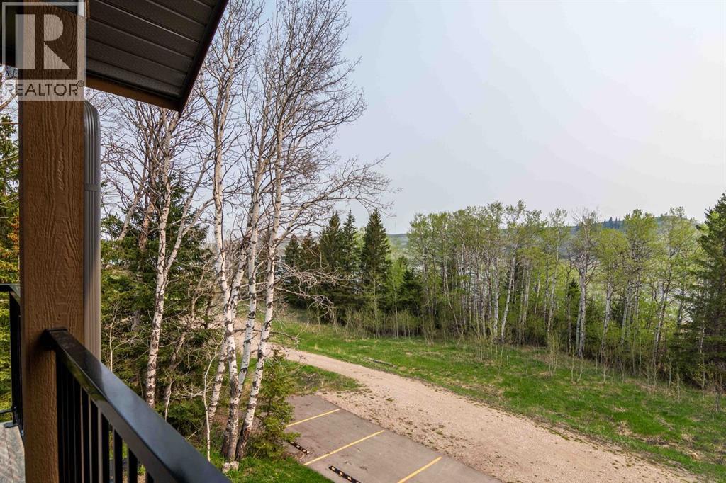 709/710, 401 4 Street, Rural Cypress County, Alberta  T0J 1C0 - Photo 26 - A2189281