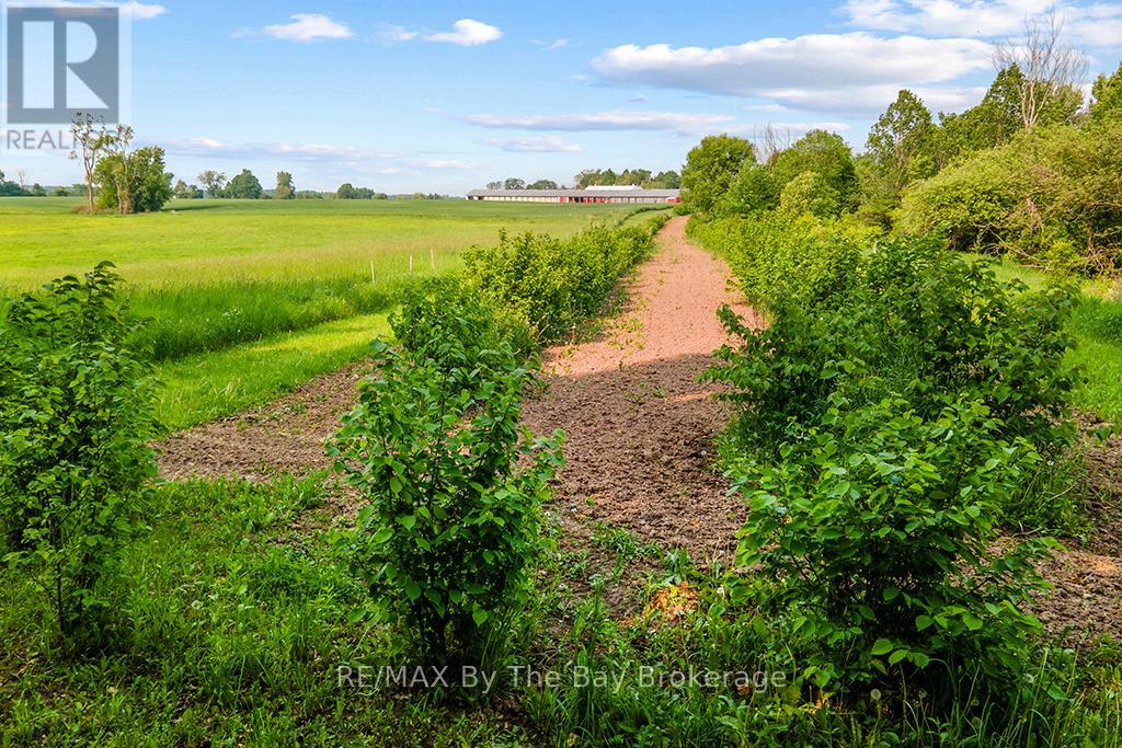 828482 Mulmur Nottawasaga Townline, Mulmur, Ontario  L9V 0Y9 - Photo 38 - X12393691