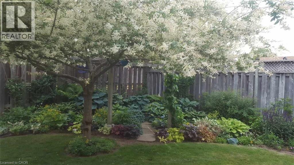 6 Burdock Boulevard, Brantford, Ontario  N3R 6B6 - Photo 11 - 40790187