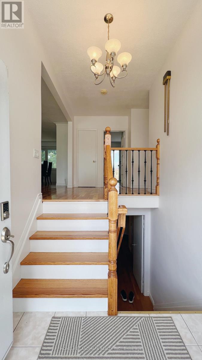 10 Silverview Drive, Toronto, Ontario  M2M 2B3 - Photo 31 - C12706672