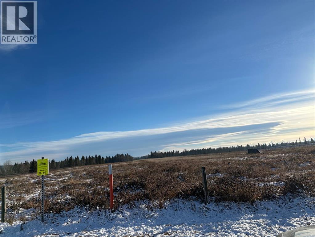 6 0 Street Sw, Sundre, Alberta  T0M 1X0 - Photo 12 - A2265384