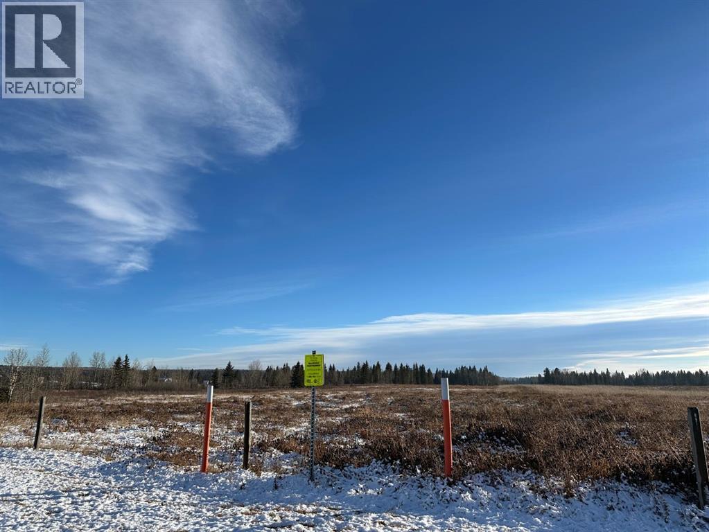 6 0 Street Sw, Sundre, Alberta  T0M 1X0 - Photo 13 - A2265384