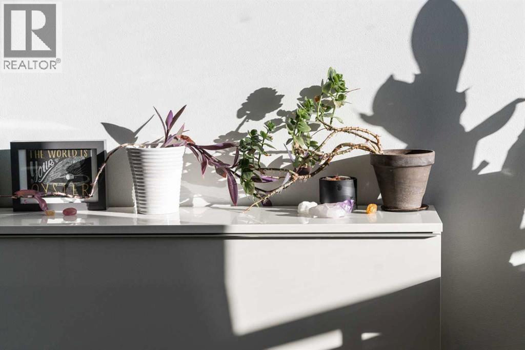 504, 505 19 Avenue Sw, Calgary, Alberta  T2S 0E4 - Photo 19 - A2279996