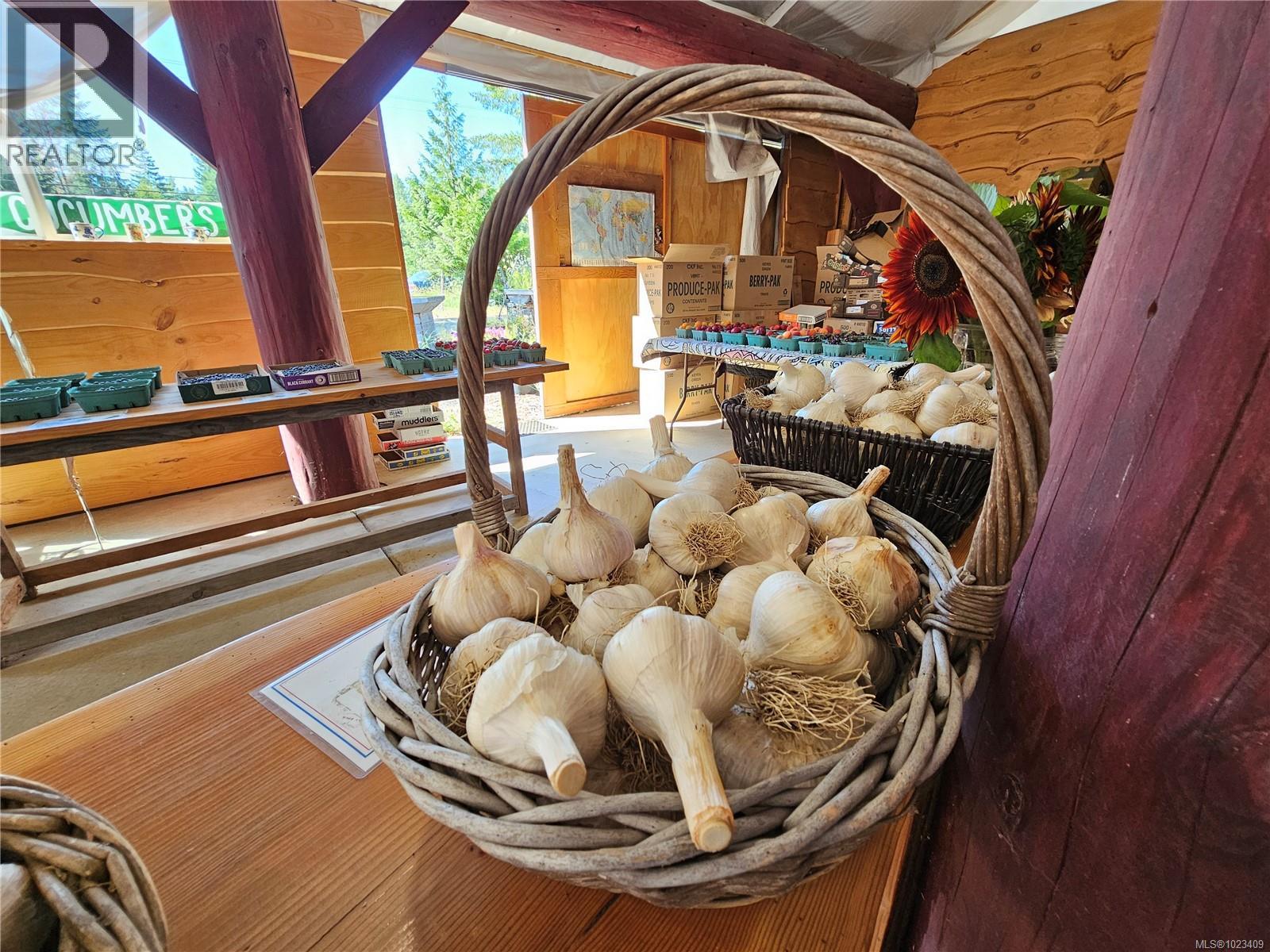 2156 Coleman Rd, Courtenay, British Columbia  V9J 1P2 - Photo 80 - 1023409