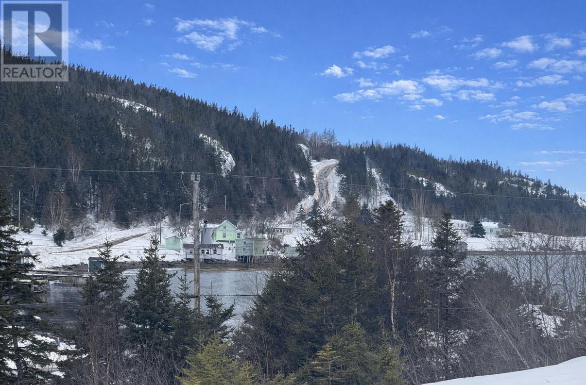 24 Main Road, Cottrell's Cove, Newfoundland & Labrador  A0H 1L0 - Photo 7 - 1293803