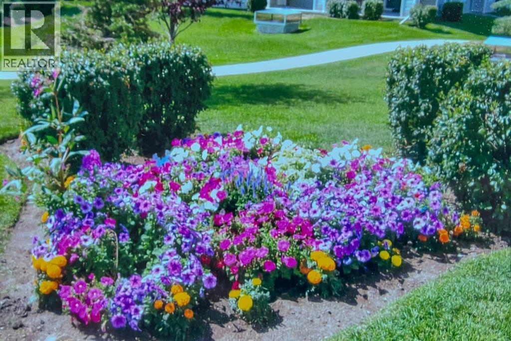 3101, 604 8 Street Sw, Airdrie, Alberta  T4B 2W4 - Photo 21 - A2274313