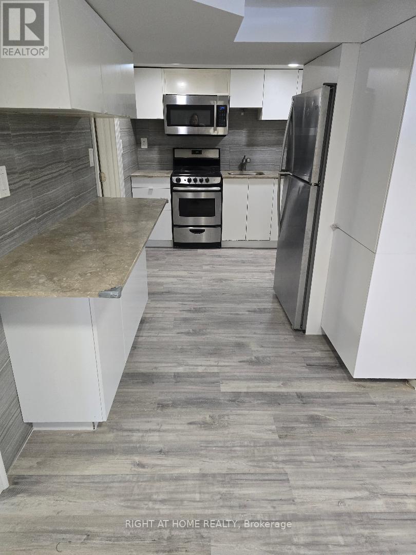 Basement Apartment - 53 Major Mackenzie Drive E, Richmond Hill, Ontario  L4C 1G8 - Photo 6 - N12706894