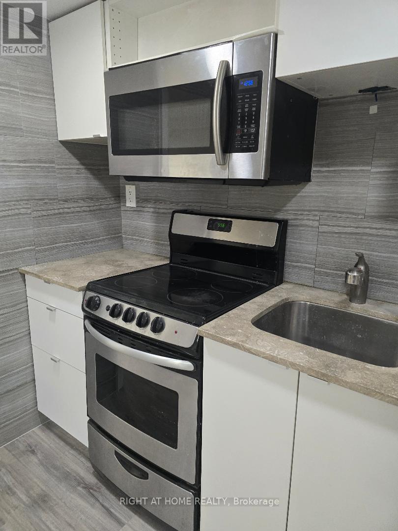 Basement Apartment - 53 Major Mackenzie Drive E, Richmond Hill, Ontario  L4C 1G8 - Photo 7 - N12706894