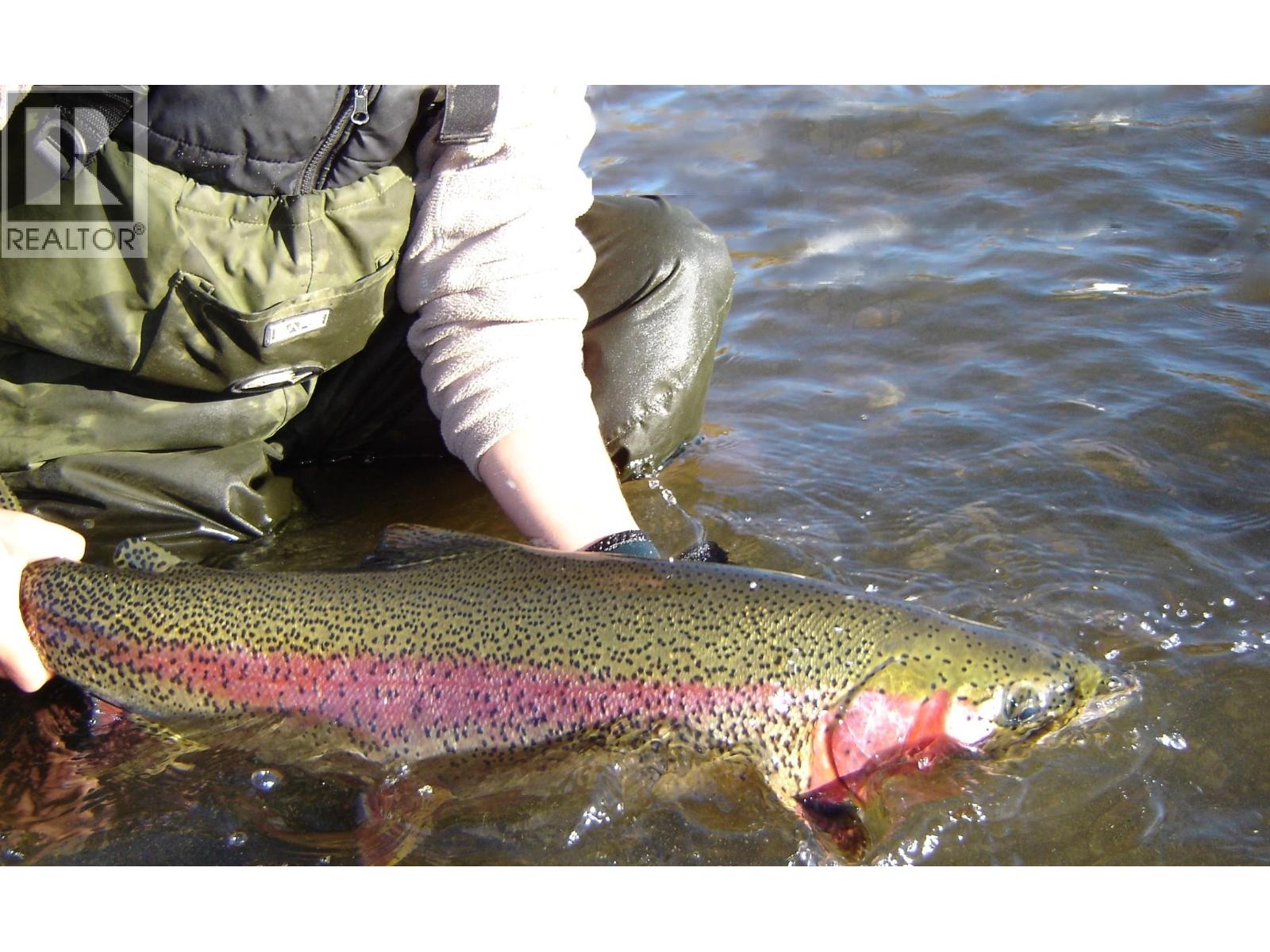 5921 CEDAR CREEK ROAD, Likely, British Columbia