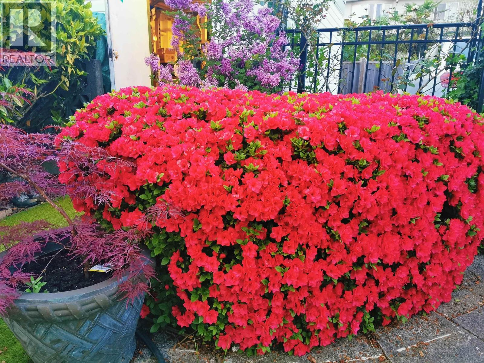 6593 Lochdale Street, Burnaby, British Columbia  V5B 2M7 - Photo 8 - R3080316