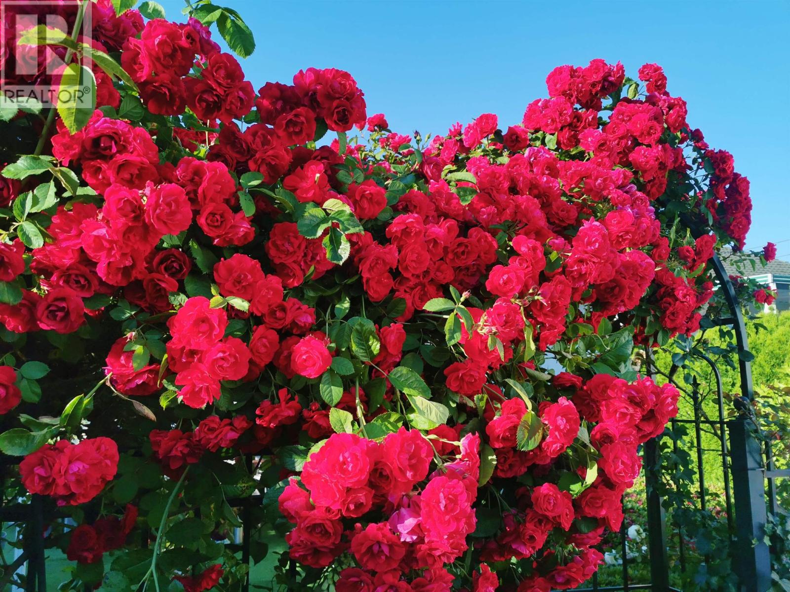 6593 Lochdale Street, Burnaby, British Columbia  V5B 2M7 - Photo 4 - R3080316