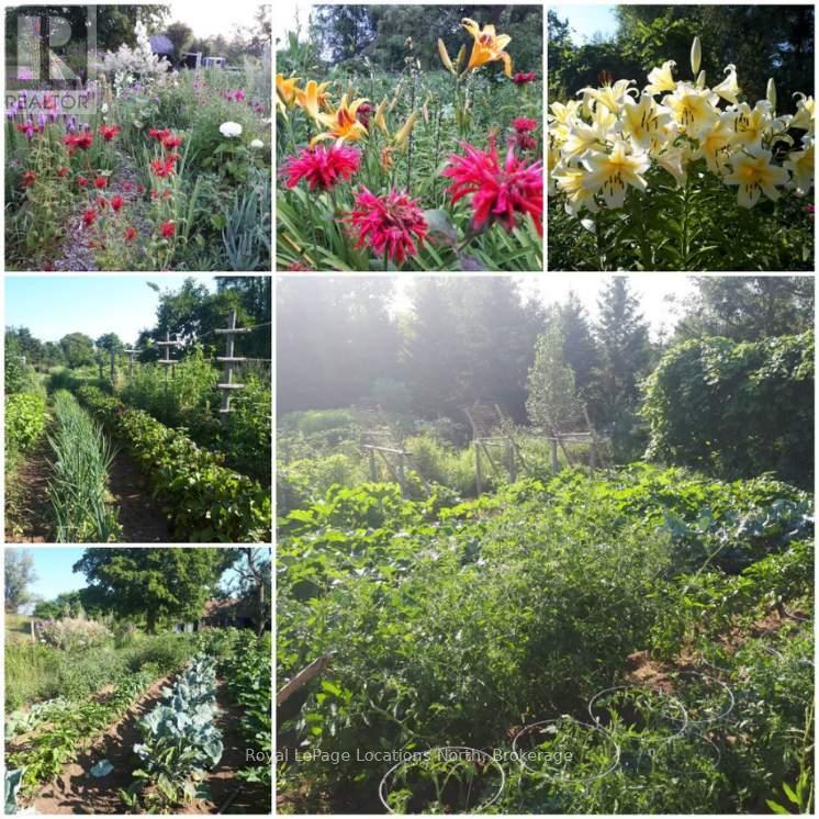 138237 Grey Road 112, Meaford, Ontario  N4L 1W5 - Photo 37 - X12706900