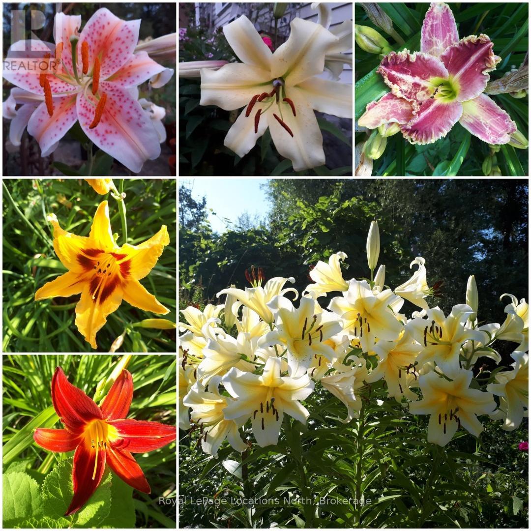 138237 Grey Road 112, Meaford, Ontario  N4L 1W5 - Photo 38 - X12706900