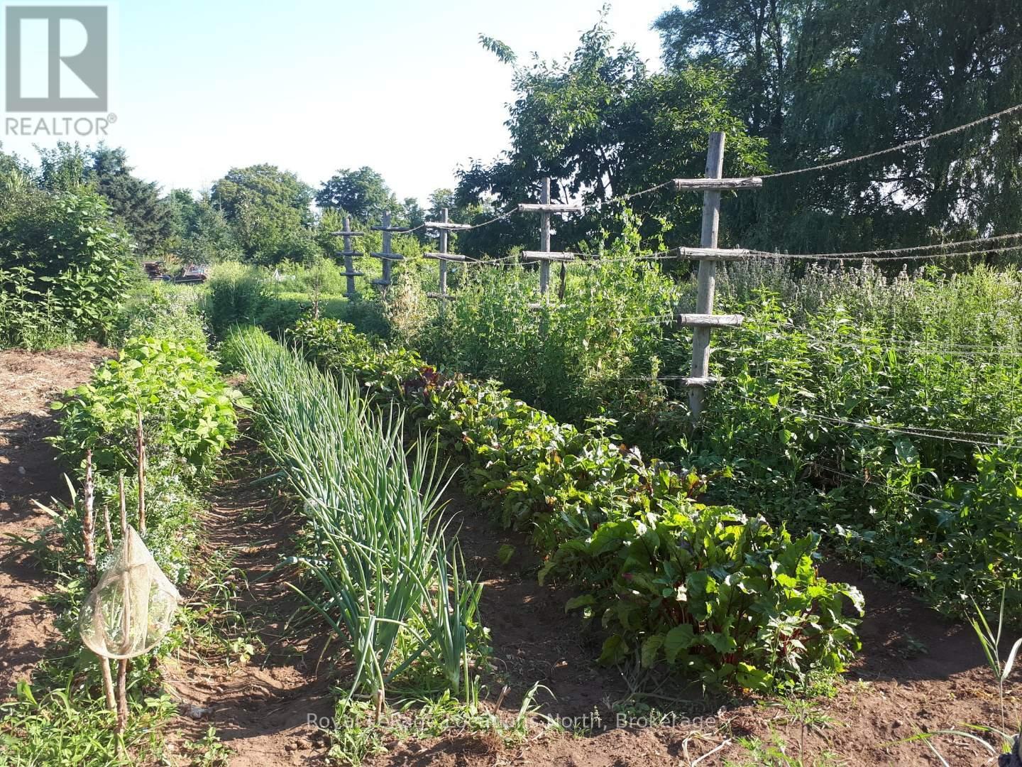 138237 Grey Road 112, Meaford, Ontario  N4L 1W5 - Photo 40 - X12706900