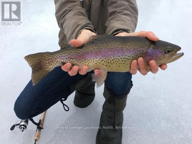 138237 Grey Road 112, Meaford, Ontario  N4L 1W5 - Photo 44 - X12706900