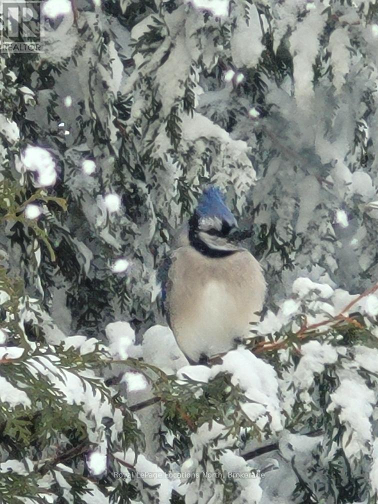 138237 Grey Road 112, Meaford, Ontario  N4L 1W5 - Photo 42 - X12706900