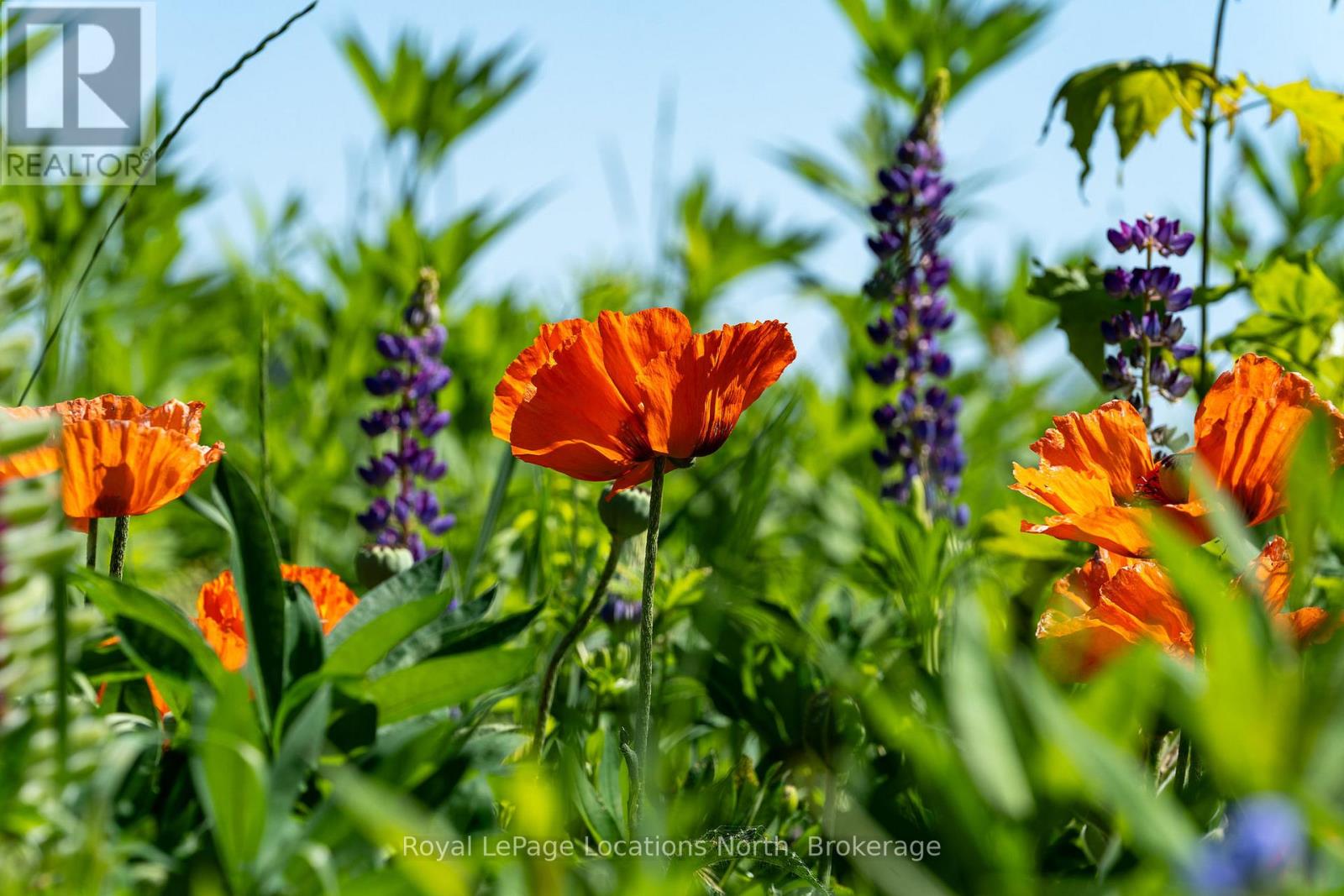 138237 Grey Road 112, Meaford, Ontario  N4L 1W5 - Photo 7 - X12706900