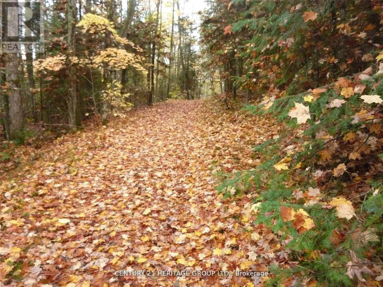 Pt Lt 8 Con7 Macduff Road, Highlands East, Ontario  K0L 2Y0 - Photo 2 - X12707160